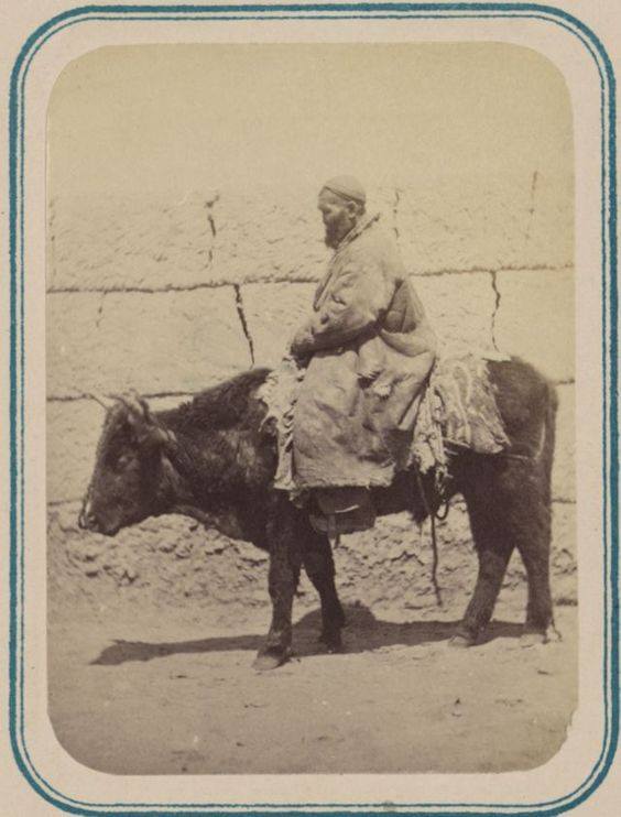 1900 Samarkand Matador
