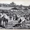 1900 Tashkent Horse Market Chor-su