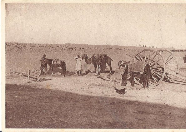 1910 Предпл Туркменистан Араба у Дувала