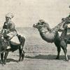 1910 Kazakh Woman on Bull and Man on Camel
