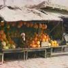 1910 Melon Selling Man Samarkand