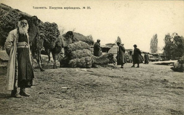 1910 Tashkent Camel Loading
