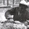 1910 Uygur Tilim yung qirqish