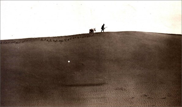 1914 В Туркестане. Фото Веры Никитиной с сайта «Пермская трибуна»