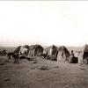 1914 Лагерь. Фото Веры Никитиной с сайта «Пермская трибуна»