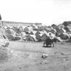 1915 Бухара Кладбище Ак-Мазар у Мазарских Ворот 1