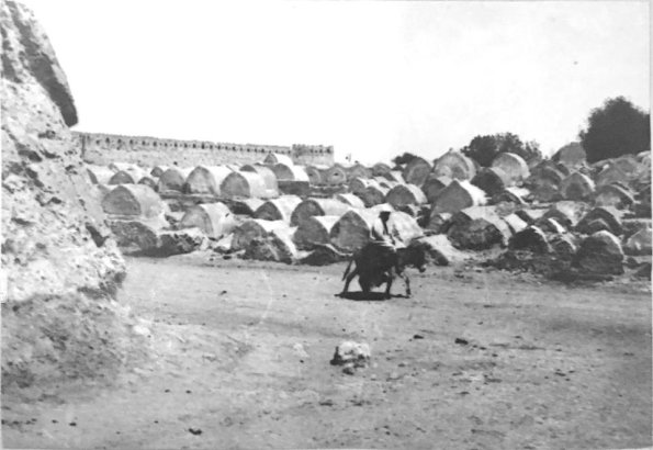 1915 Бухара Кладбище Ак-Мазар у Мазарских Ворот 1