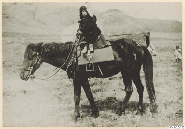 1916 Семипалатинск  Автор Rydberg, Nils Erik - Horseman
