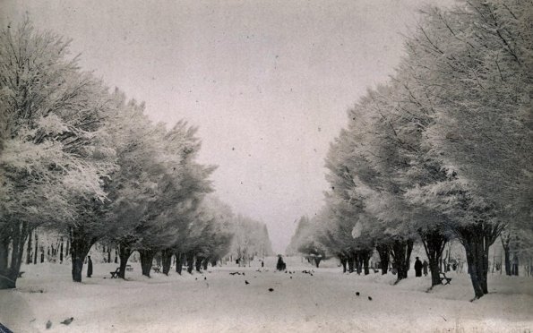 1916 Ташкент Кауфманской Проспект в Снегу