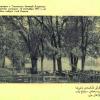 1917 Ташкент Парк Федерации Место Избрания 1-го Ревкома