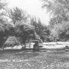 1918 Samarkand Park